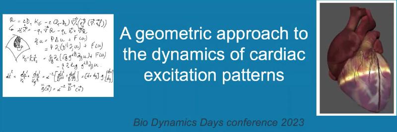 Featured image of post Lecture of Hans Dierckx at the Bio Dynamics Days 2023