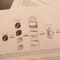 New publication by Kabus et al. 2024