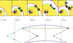 Featured image of post Feynman-like diagrams in the heart!