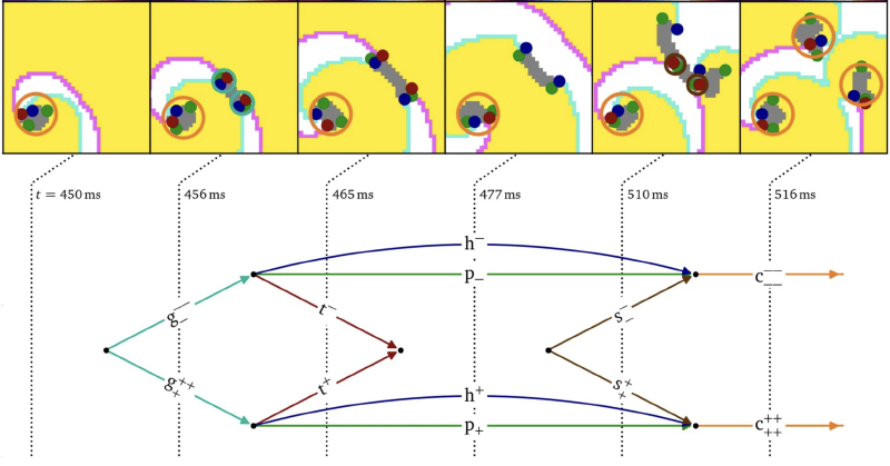 Featured image of post Feynman-like diagrams in the heart!