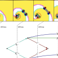 Feynman-like diagrams in the heart!