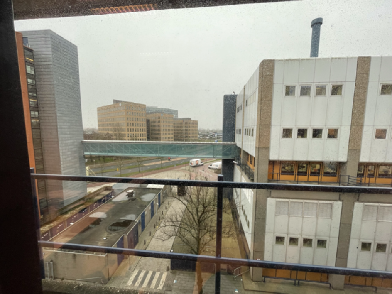 Featured image of post Moving to LUMC